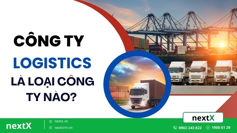Công ty Logistics là loại công ty nào?